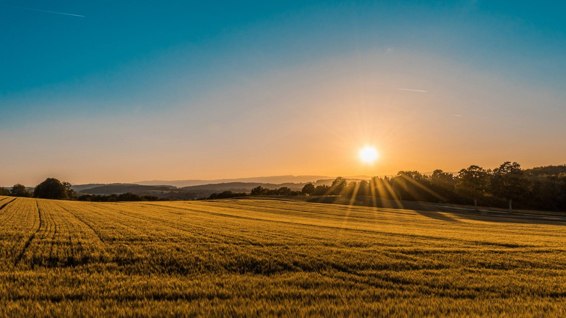 Open working land under a wide sky